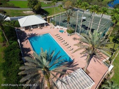 9120 Players Dr, Weeki Wachee, FL 34613 - photo 3