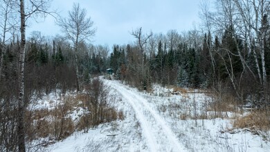 1570 Ryno Rd, Luzerne, MI 48636 - photo 5