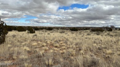 7565 Cedar Ln, Snowflake, AZ 85937 - photo 5