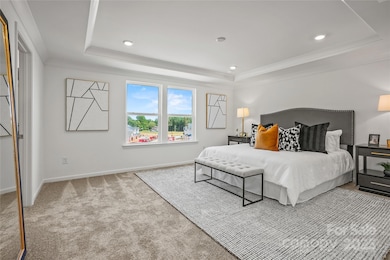 Primary is representative