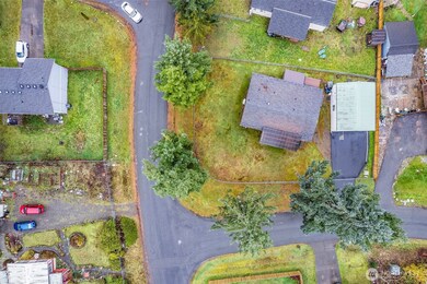 11401 202nd Ave E, Sumner, WA 98391 - photo 4