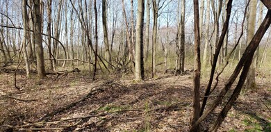 20190424_105253