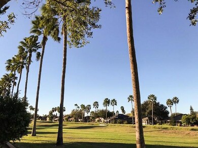 240 Rebecca Dr, Alamo, TX 78516 - photo 5