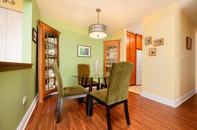 105 S Arlington Ave unit 104, Elmhurst, IL 60126 - photo 6