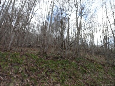 1381 Langford Branch Rd, Burnsville, NC 28714 - photo 2