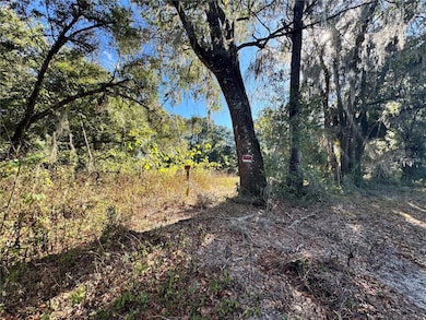 17901 NE 18th Ave, Citra, FL 32113 - photo 2