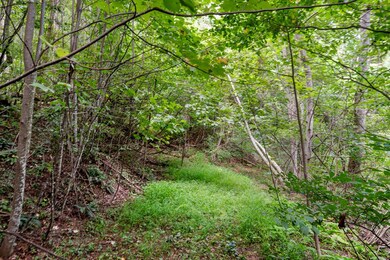 TBD Old Mill Ct, Fancy Gap, VA 24053 - photo 7