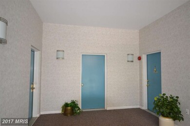 8003 Greenspring Way unit H, Owings Mills, MD 21117 - photo 3