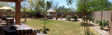 backyard1