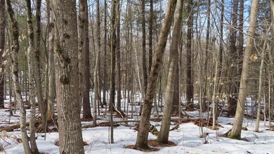 47 Juniper Ridge Rd, Gilford, NH 03249 - photo 3