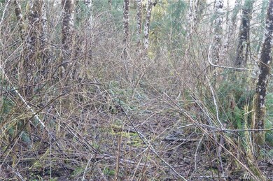 0 U S 101, Raymond, WA 98577 - photo 2