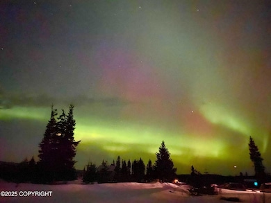 68062 Jolly Ave, Anchor Point, AK 99556 - photo 4