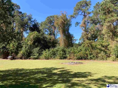 TBD Old Kemper Rd, Lake View, SC 29563 - photo 2