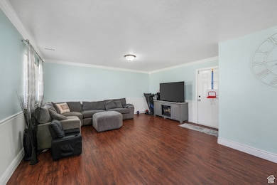 Living room featuring dark wood-type flooring and crown molding