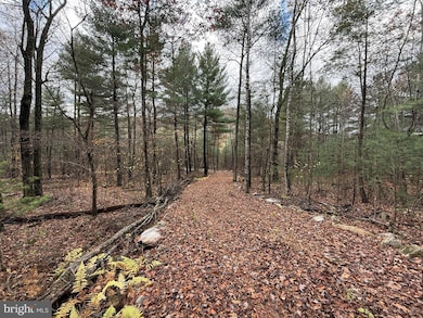 Lot#25 Brooke Trout Dr, Wardensville, WV 26851 - photo 2