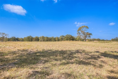 View of the land just inside the gate.
