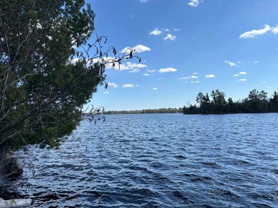 Unit 1 Fernberg Rd, Fall Lake Township, MN 55731 - photo 6