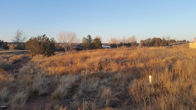 Lot view NE