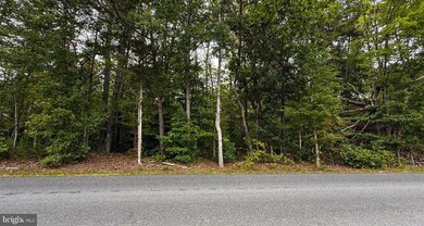 0 Batna Rd unit VACU2011532, Lignum, VA 22726 - photo 3