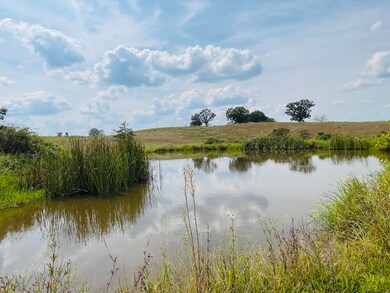 Stocked Ponds