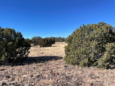 -097 ACR N8492 Concho