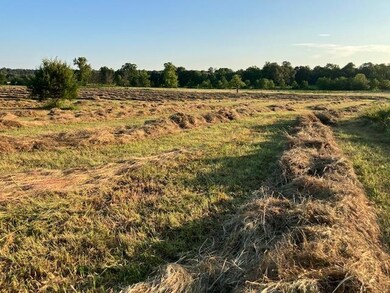 0 W Fairview Rd unit 25027257, Salem, AR 72576 - photo 2