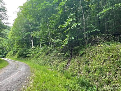 000 Chestnut Ln, Mars Hill, NC 28754 - photo 4