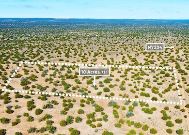 75 County Rd N7204, Saint Johns, AZ 85936 - photo 2