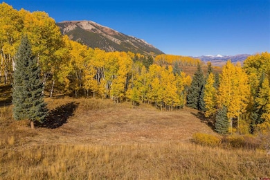 794 Red Mountain Ranch Lower Loop, Crested Butte, CO 81224 - photo 5