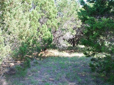 30086 Woodcrest Dr, Whitney, TX 76692 - photo 4