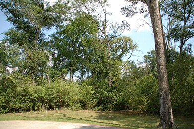 22803 Rosehurst Dr, Tomball, TX 77377 - photo 4