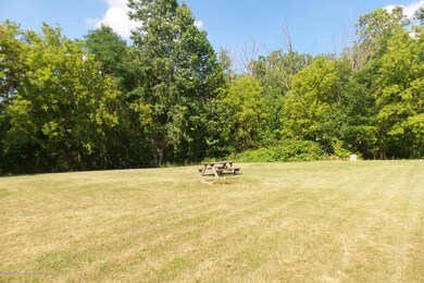 20170706_161013_resized