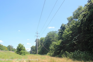 1201 Highway 178, Byhalia, MS 38611 - photo 5