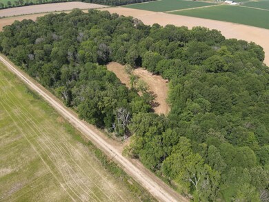 0 Highway 585, Pioneer, LA 71266 - photo 5