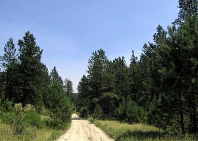 17 Bobcat Ln, Roundup, MT 59072 - photo 2