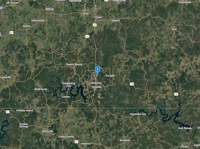 200 Hickory Ridge Ct, Branson Township, MO 65616 - photo 5