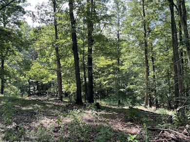 TBD Humphreys Rd, Morgantown, WV 26508 - photo 6