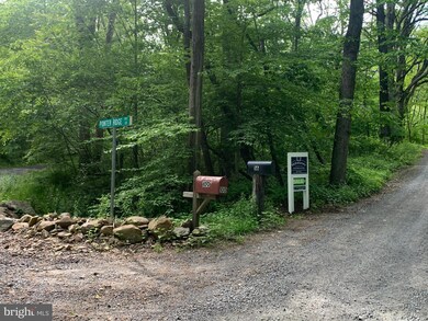 0 Gid Brown Hollow & Pointer Ridge Ln unit VARP107336, Washington, VA 22747 - photo 4