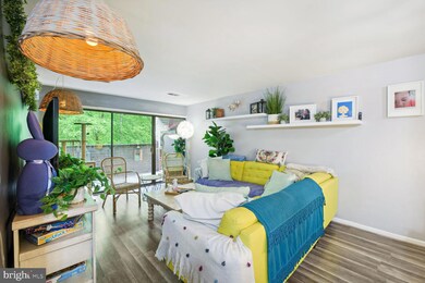 11220 Chestnut Grove Square unit 322, Reston, VA 20190 - photo 5