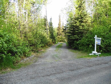 DSC04604