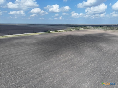 TBD Texas 359, Skidmore, TX 78389 - photo 3