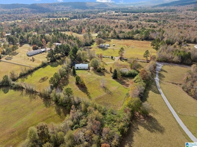 00 Armstrong Rd, Ashville, AL 35953 - photo 5