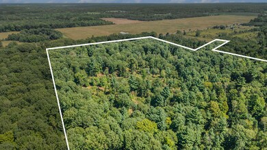 006_dji_0767_410