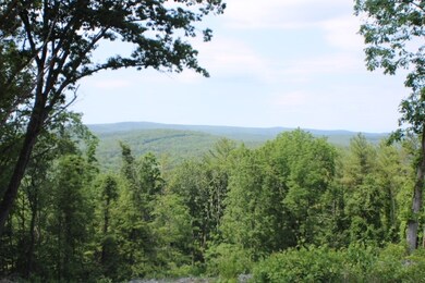 0 Welcome Hill Rd unit 4809956, Chesterfield, NH 03466 - photo 7