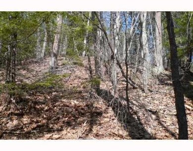 Land/Lot. View of land and roiver...