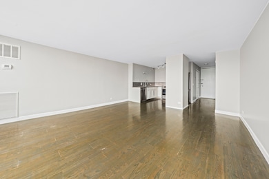 LaSalle Terrace unit 907, Chicago, IL 60610 - photo 5