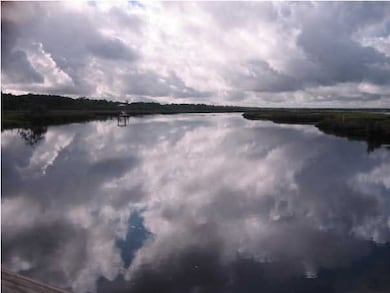 16 Leaning Oak Ln, Ravenel, SC 29470 - photo 4