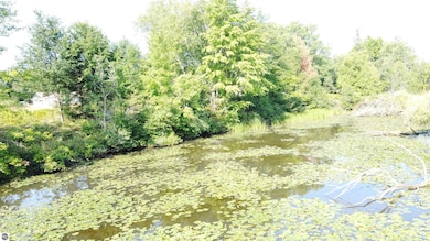 0 Arthur Ct unit 1926536, West Branch Township, MI 48661 - photo 5