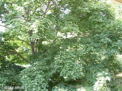 5821 Linden Square Ct, Rockville, MD 20852 - photo 4