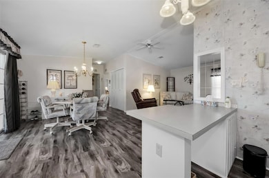 78 Rachel Dr, Tarpon Springs, FL 34689 - photo 5